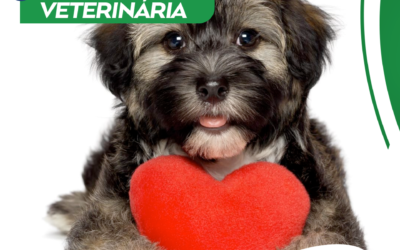 Cardiopatias mais comuns em pets