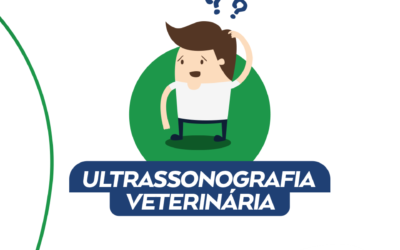 Ultrassonografia Veterinária