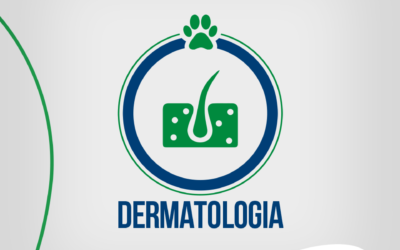 Saiba tudo sobre a dermatologia veterinária