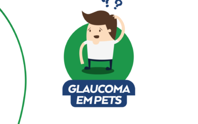Glaucoma em pets?