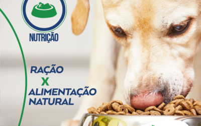 Ração X Alimentação Natural