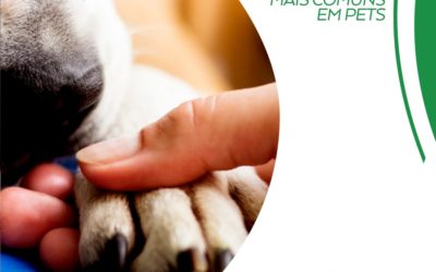 3 tipos de câncer mais comuns em pets