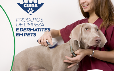 Produtos de limpeza e pets – o que eu devo saber?