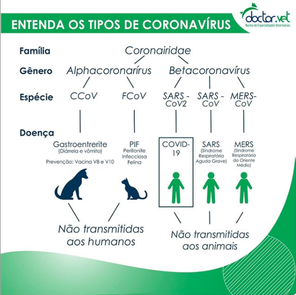 Cachorro pode ter coronavírus?