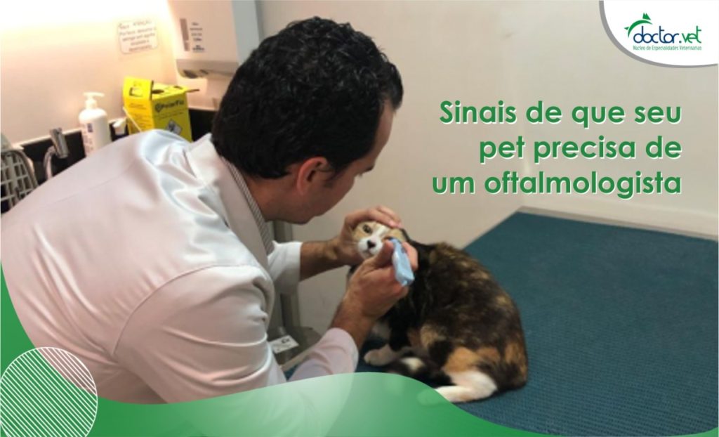 pet oftalmologista