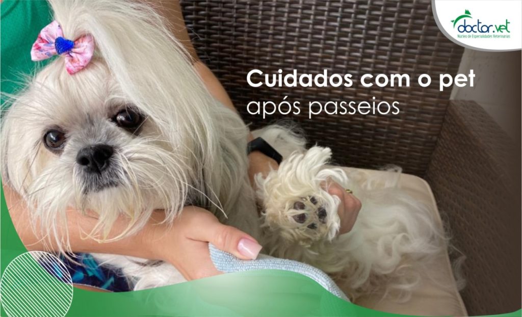 higiene pet passeio