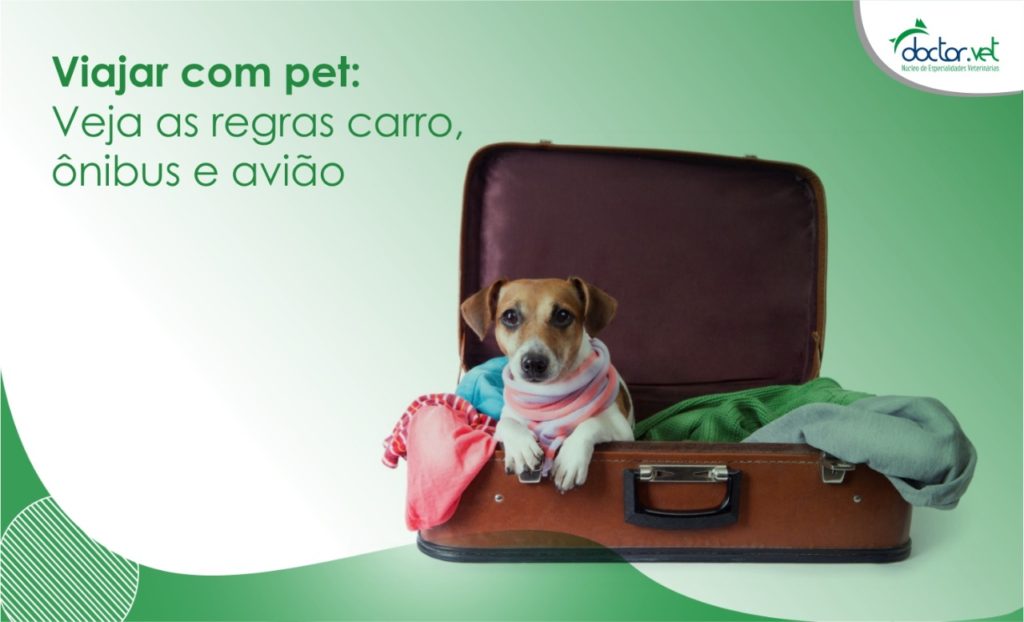 Viajar com pet