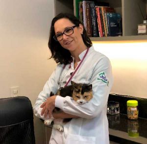 oncologia veterinária