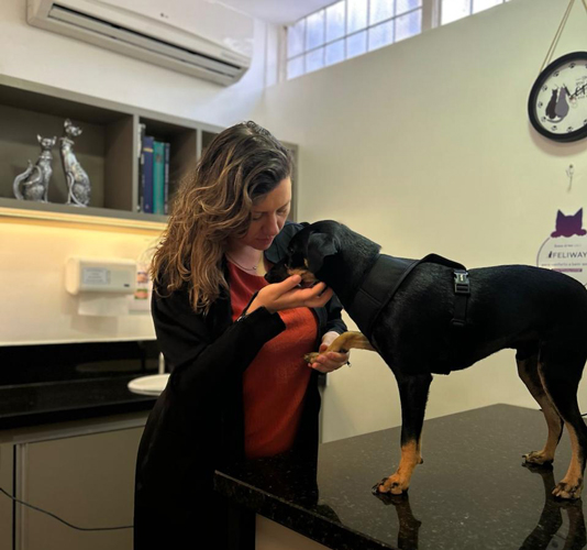 cardiologia veterinária brasília